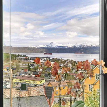 Aurora Borealis I Narvik! Lägenhet