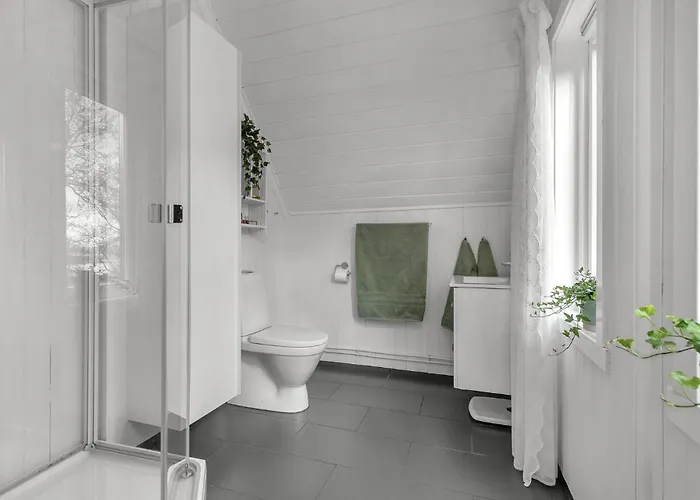 Aurora Borealis I Narvik! Narvik